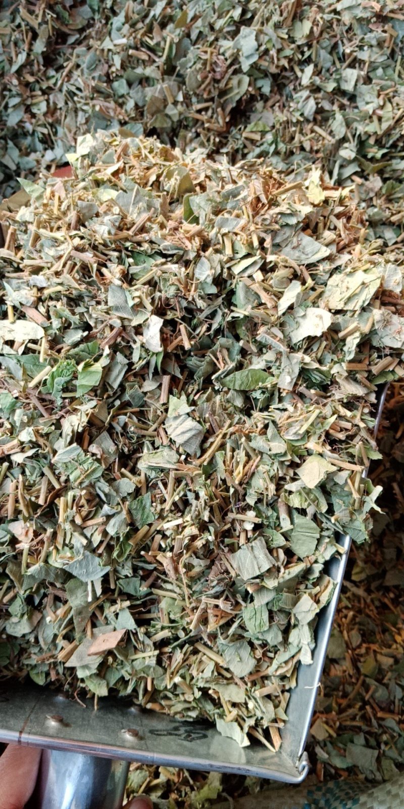 金钱草大叶金钱草小叶金钱草无硫净货中药材