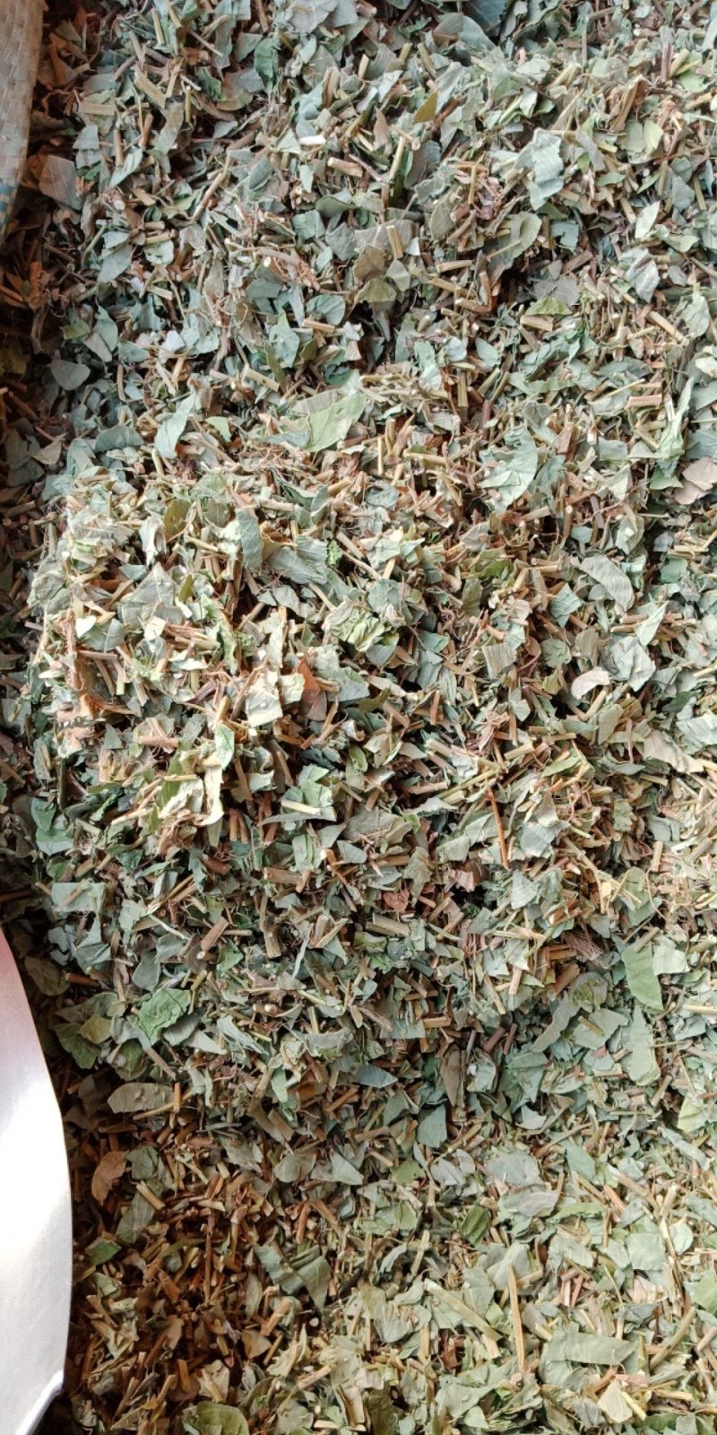 金钱草大叶金钱草小叶金钱草无硫净货中药材
