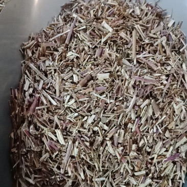 荆芥各种中药材批发质量保证草药批发零售规格多