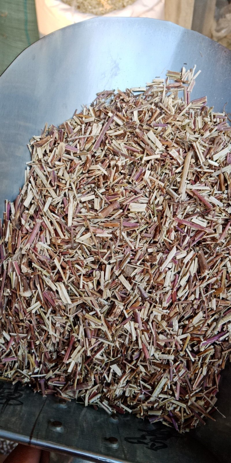 荆芥各种中药材批发质量保证草药批发零售规格多