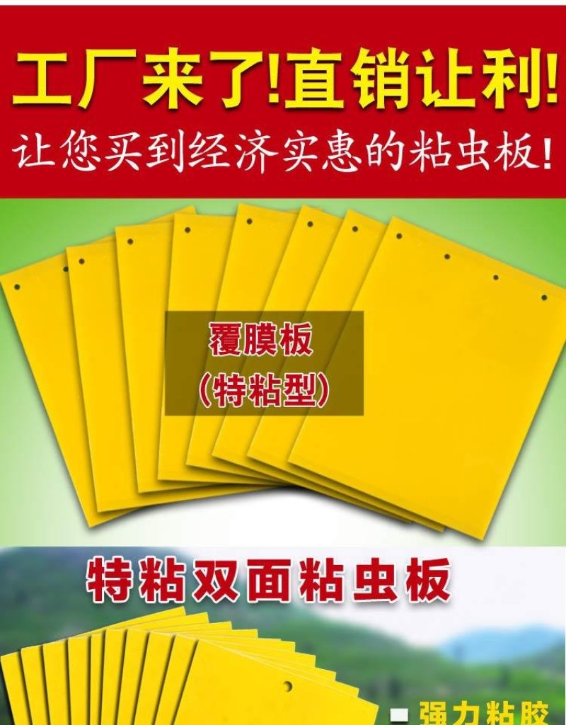 厂家直售多规格尺寸双面粘虫板（包邮）