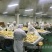 泰国金枕头榴莲肉无核6斤装媲美猫山王烘培原料