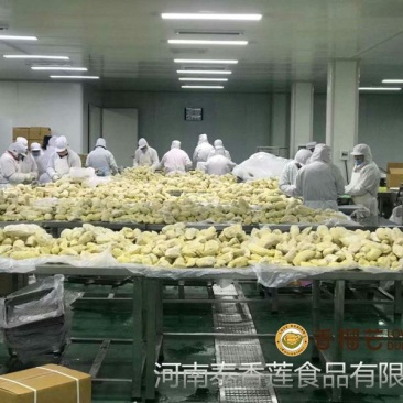 泰国金枕头榴莲肉无核6斤装媲美猫山王烘培原料