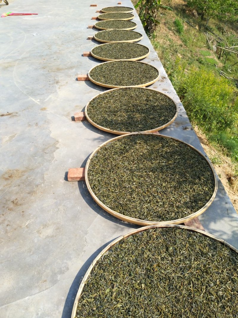 普洱茶