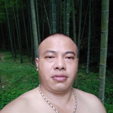 深山竹林。各种规格尺寸都有。面积有400亩以上。欢迎大家