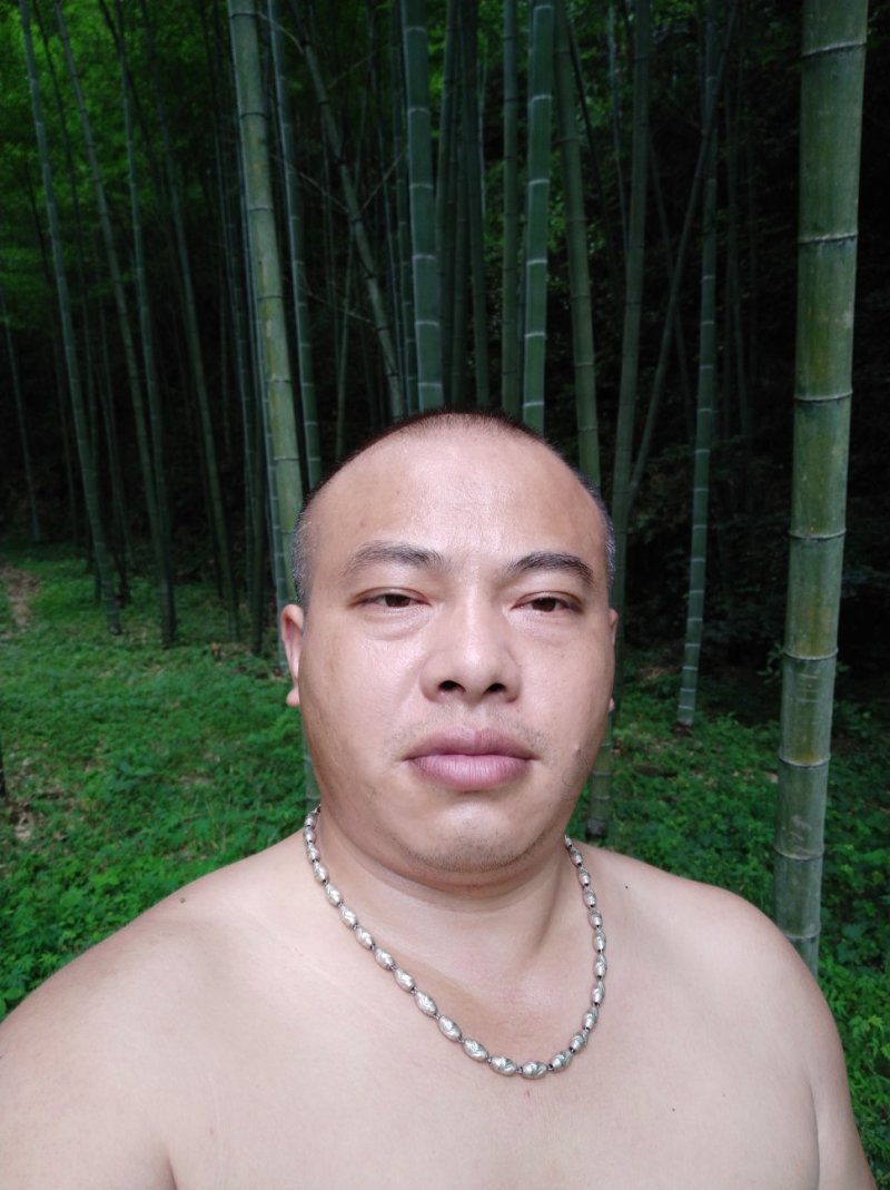深山竹林。各种规格尺寸都有。面积有400亩以上。欢迎大家