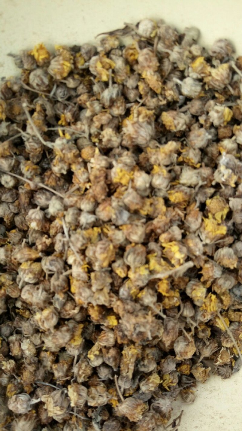 野菊花河南野生精选颗粒