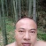 竹子10～15米