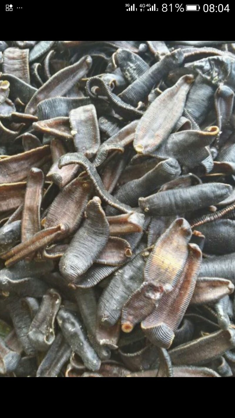 中药材下角料混合粉