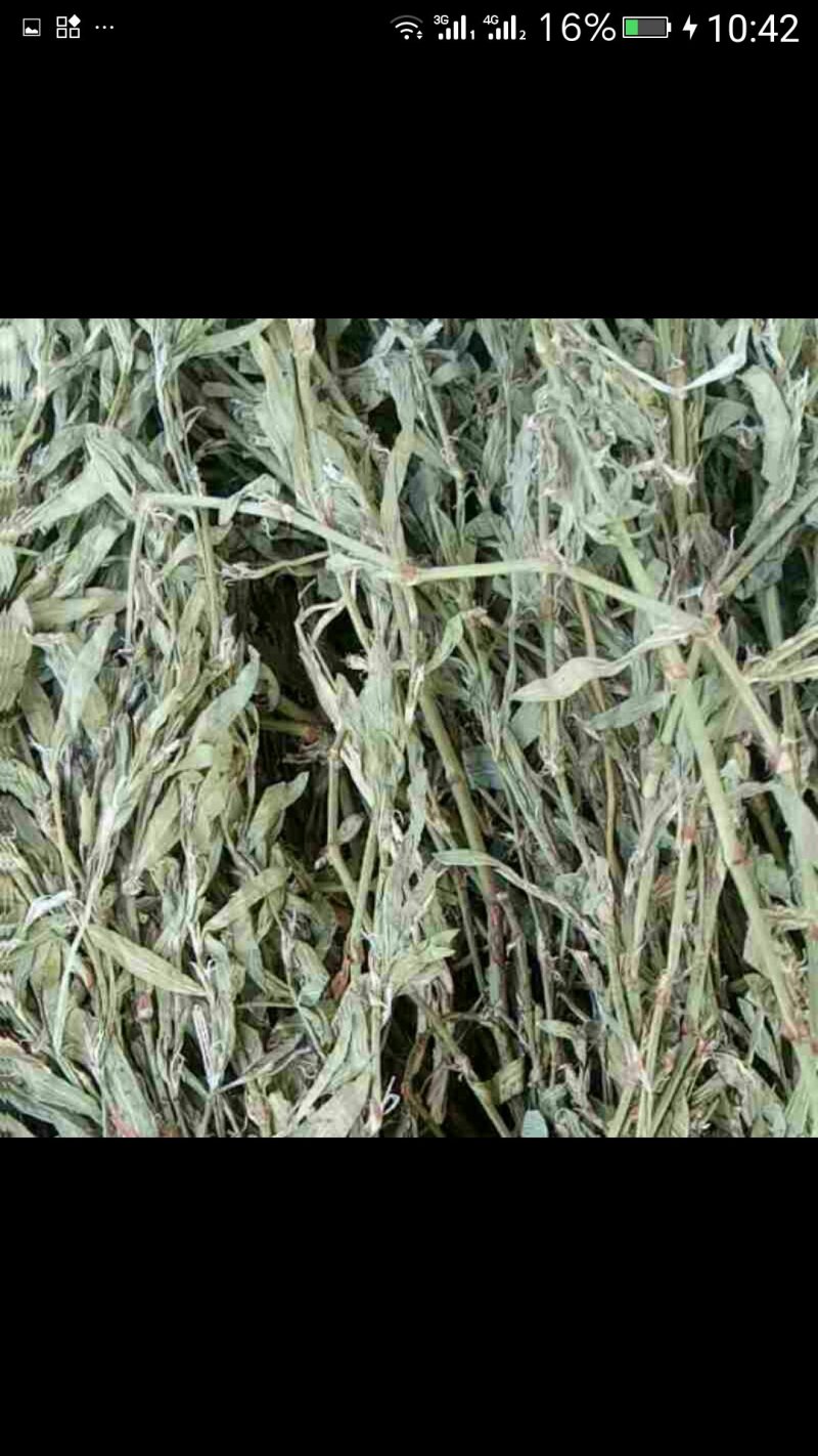 中药材下角料混合粉