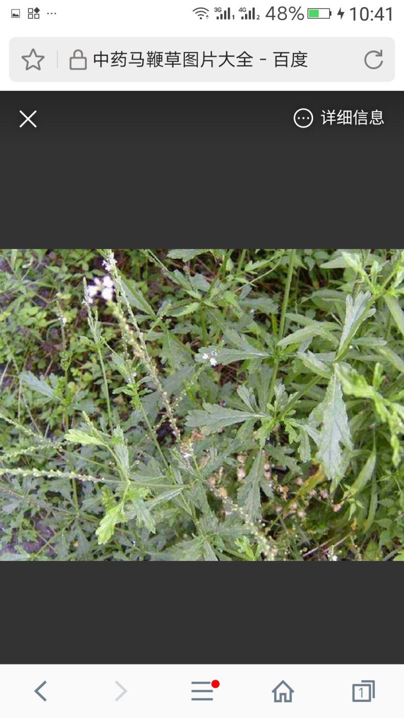 中药材下角料混合粉