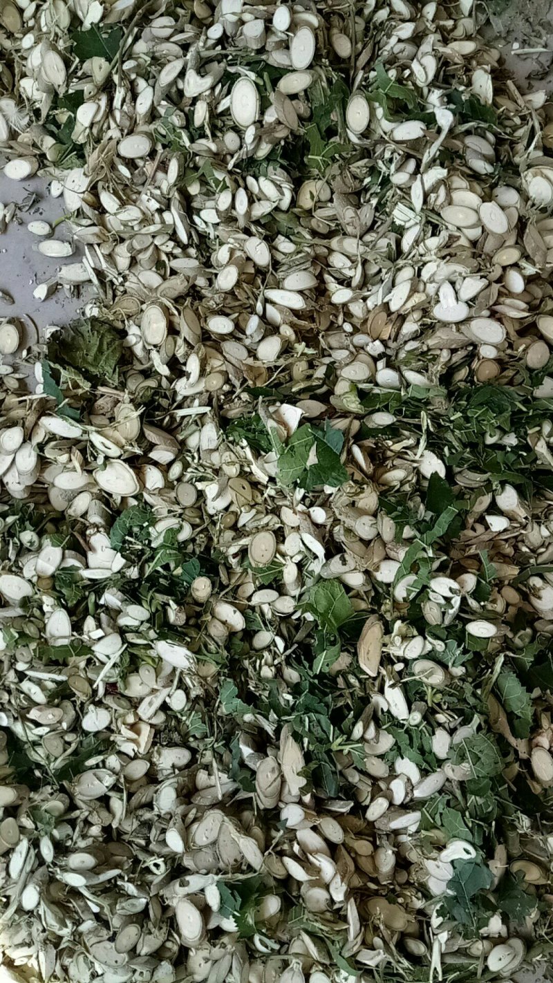 中药材下角料混合粉