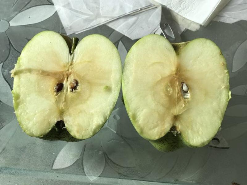 河北王林，印度青苹果80以上电商社区团购超市