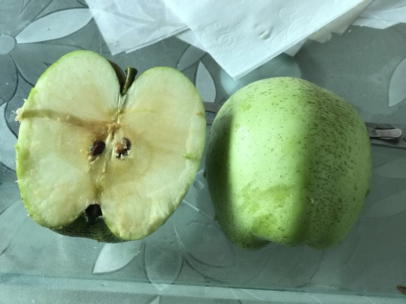 河北王林，印度青苹果80以上电商社区团购超市