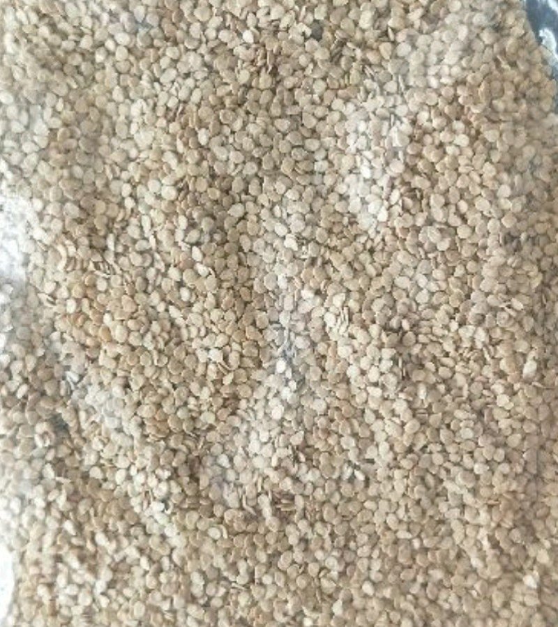 乾德圣德番茄种子1000粒/袋大果抗TY易坐果果型周正