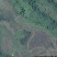 昭通市昭阳区绥江县200亩有林地入股合作