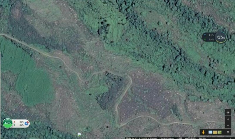 昭通市昭阳区绥江县200亩有林地入股合作