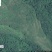 昭通市昭阳区绥江县200亩有林地入股合作