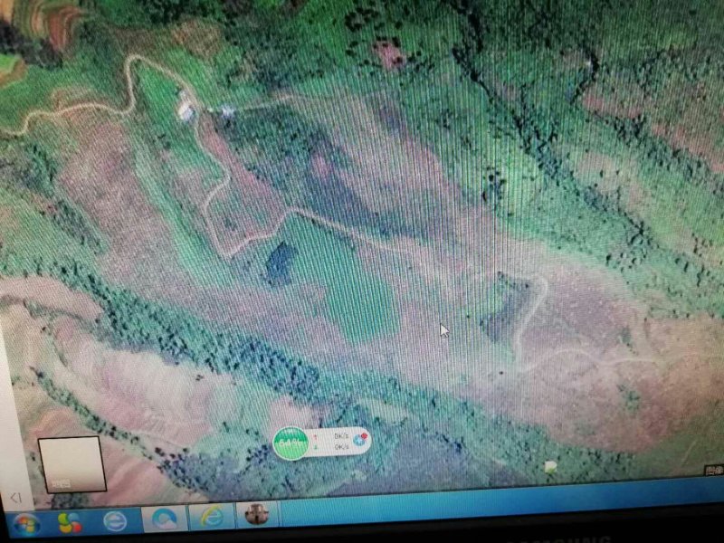 昭通市昭阳区绥江县200亩有林地入股合作
