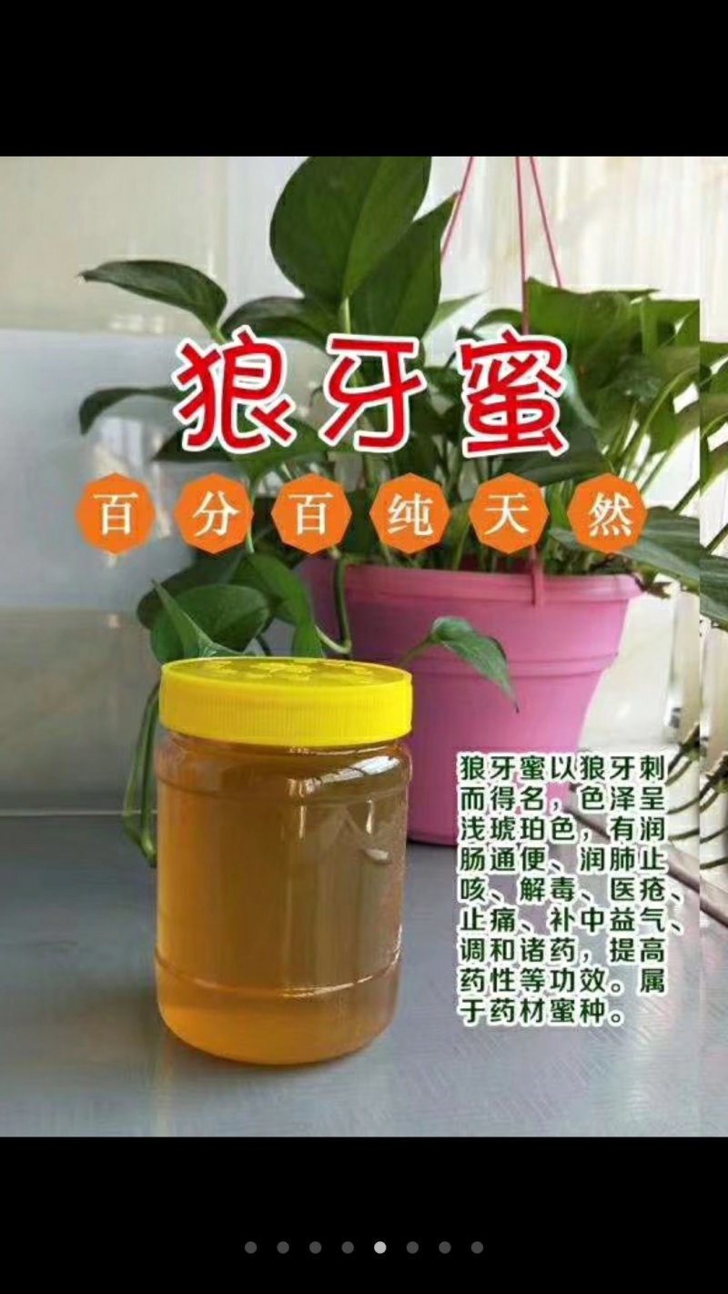 卫氏蜂蜜
