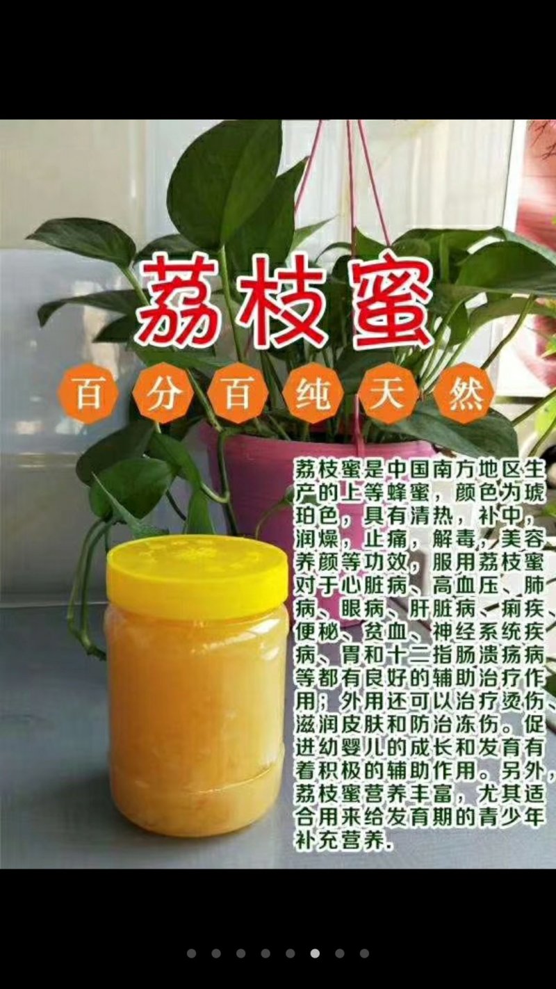卫氏蜂蜜