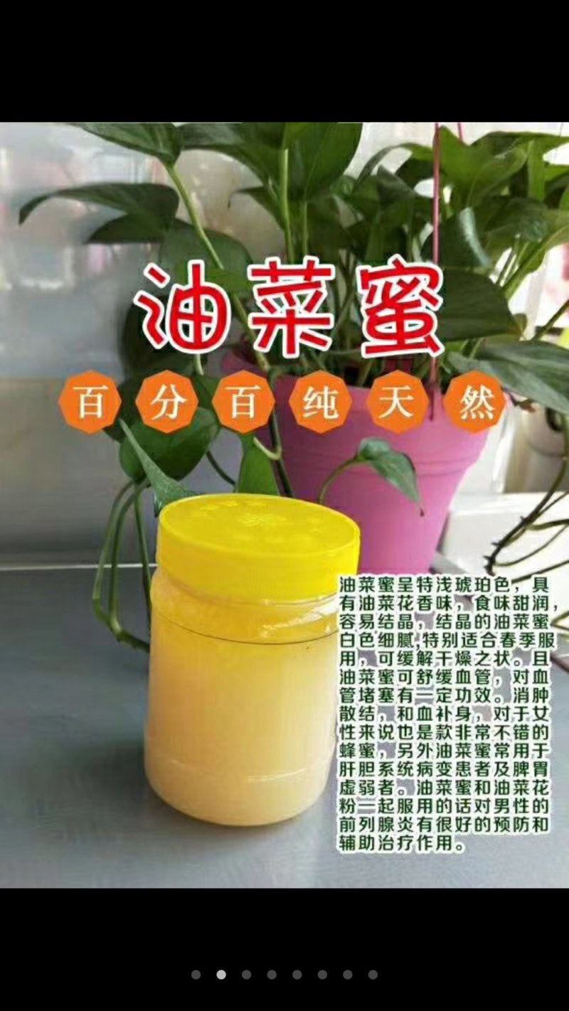 卫氏蜂蜜