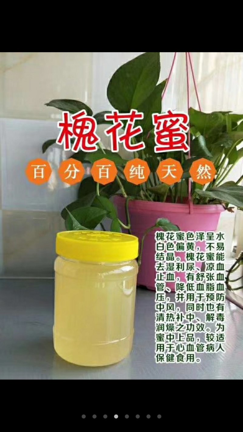 卫氏蜂蜜