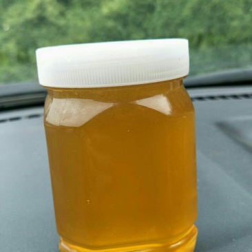 蜂蜜土蜂蜜纯正蜂蜜农家自养蜂蜜