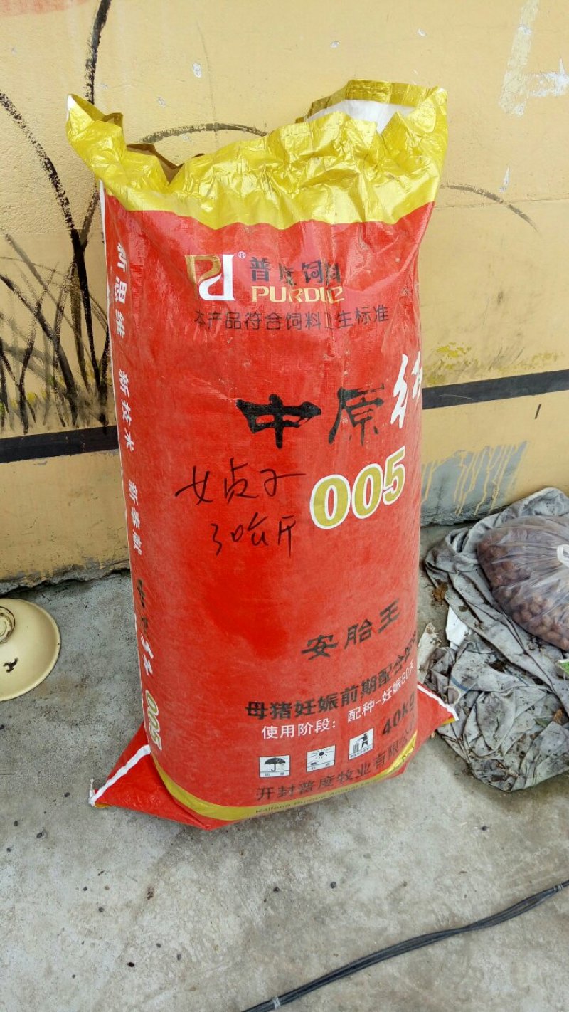 女贞子河南野生支持线上保障交易可视频看货