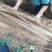铁棍山药2~3厘米40~50厘米一级通货
