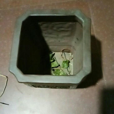 复古花瓶