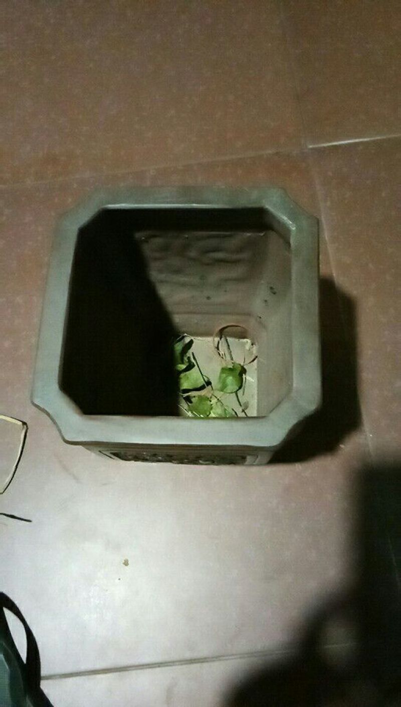 复古花瓶