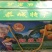 大量供应柿子，柿饼，天然绿色水果，可代购