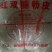 纯绿豆粉皮