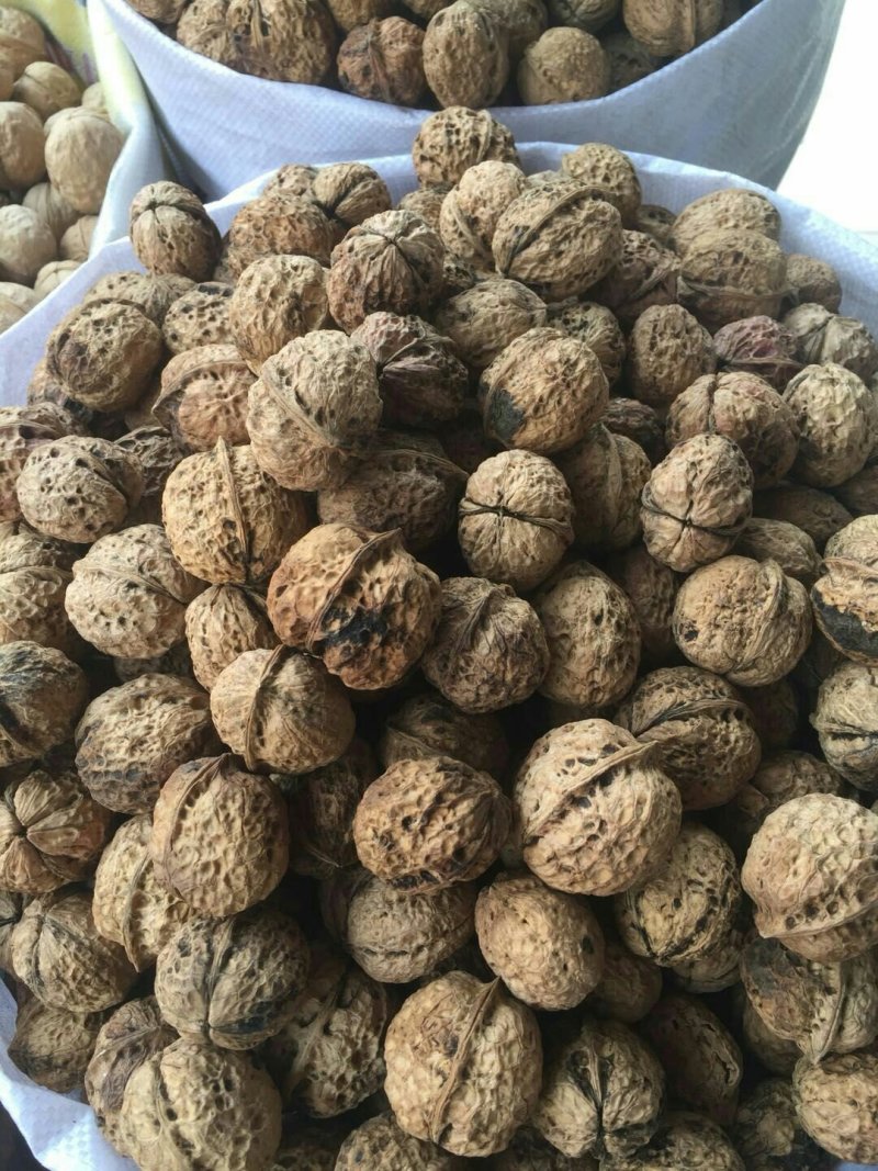 云南麻子纸皮核桃薄皮核桃中大果核桃地摊展会门店热销