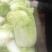 精品娃娃菜大量上市了！！！