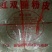 纯绿豆粉皮
