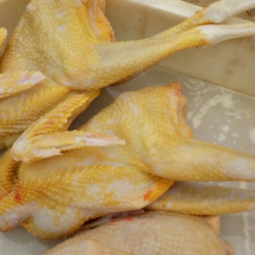 童子鸡