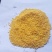 新小米大金苗小米粘
