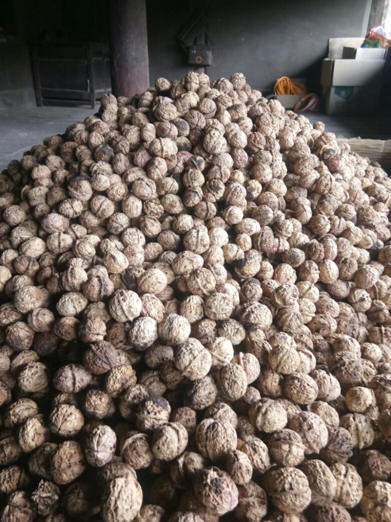 【热卖】精品漾濞大泡薄皮核桃，果仁香甜，保质诚信经营欢迎