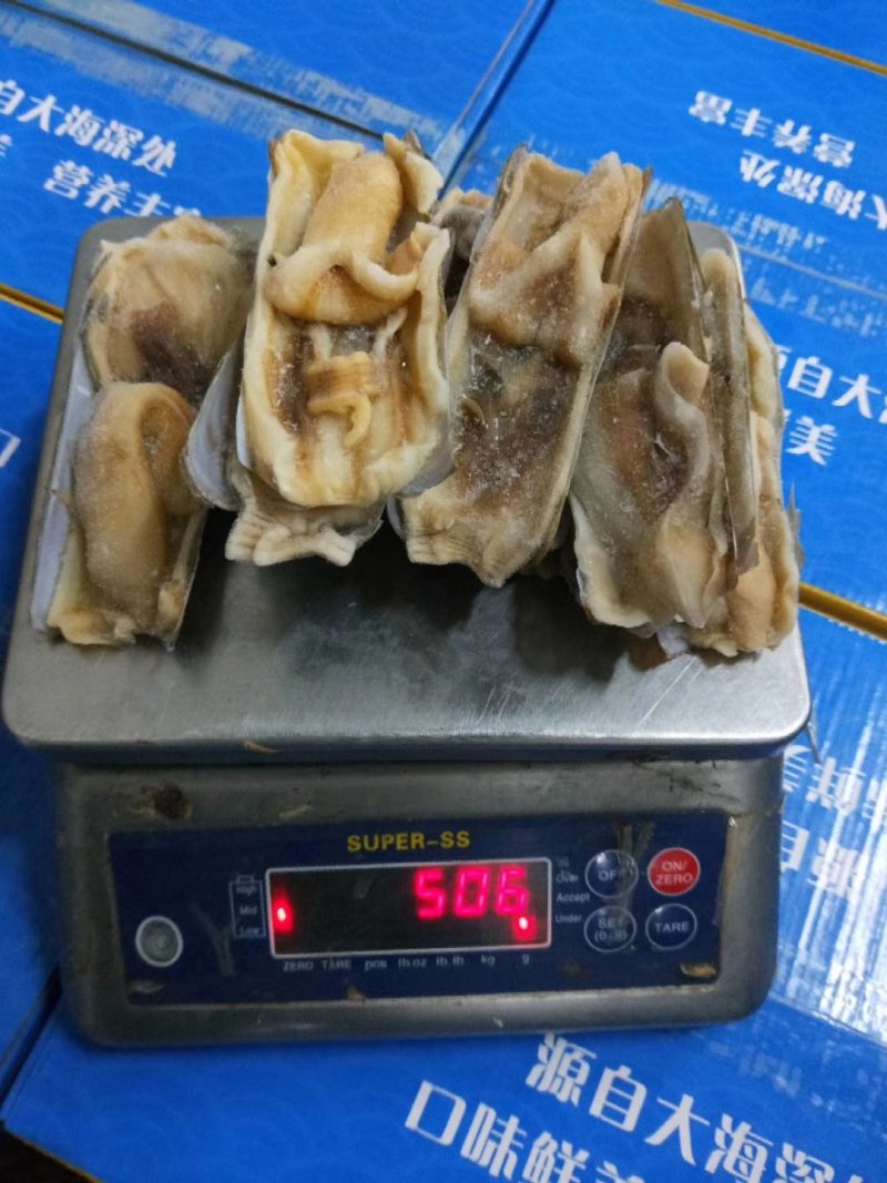 蛏王