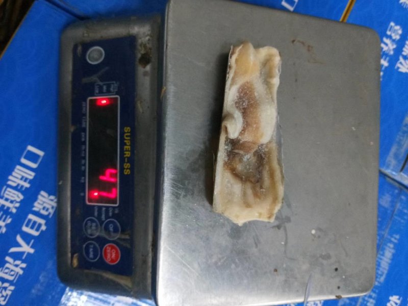 蛏王