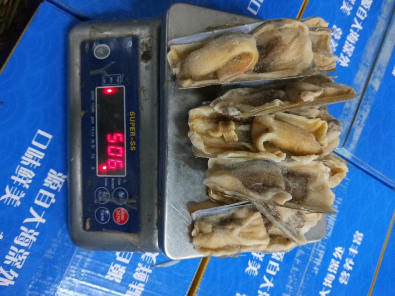 蛏王