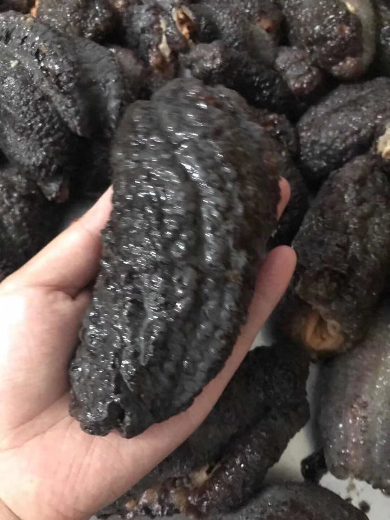 蝴蝶参