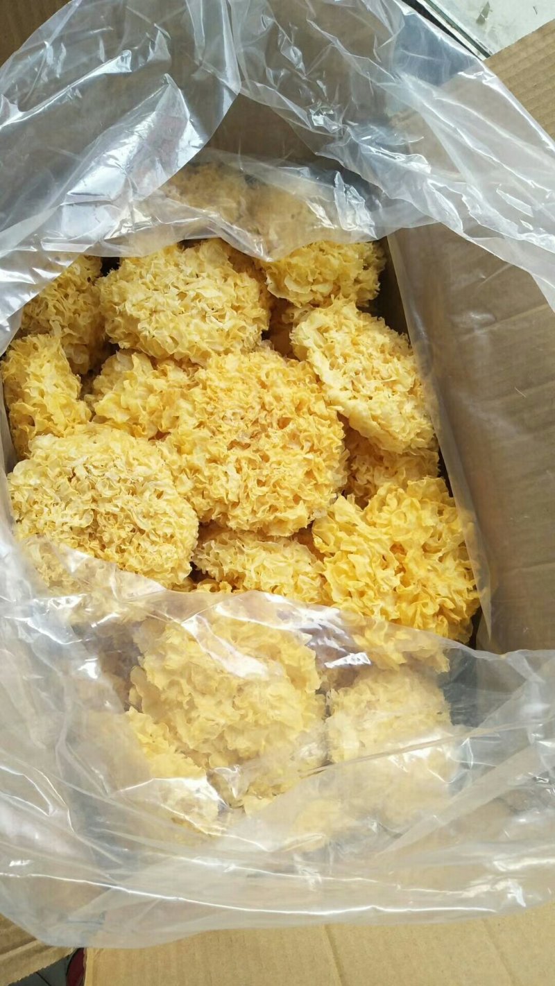 银耳