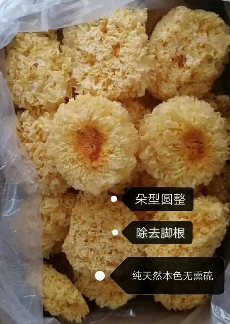 银耳