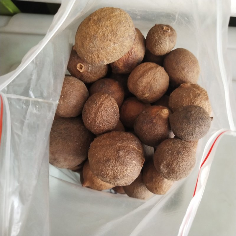 屈头鸡