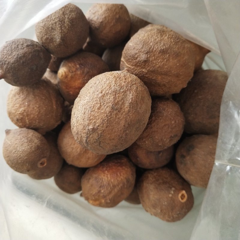 屈头鸡