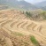 几百亩山地丘陵出租转让