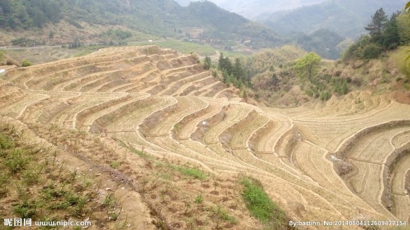 几百亩山地丘陵出租转让